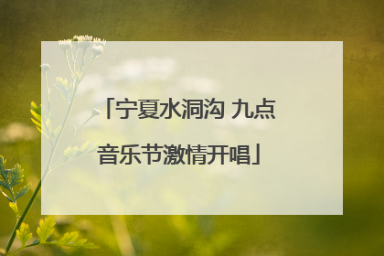 宁夏水洞沟 九点音乐节激情开唱